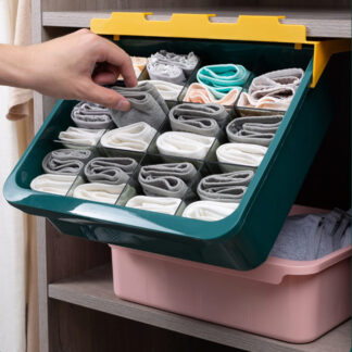 ORGANIZADOR ROPA INTERIOR CAJA