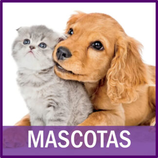 Mascotas